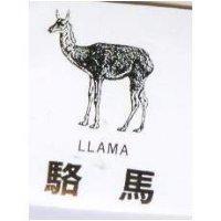 駱馬及圖 LLAMA