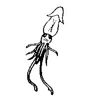 烏賊圖