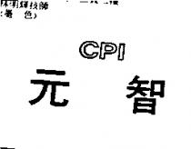 元智 CPI