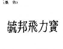 毓邦飛力寶