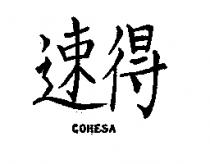 速得 COHESA
