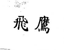 飛鷹