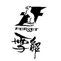 雪貂及圖 FERRET