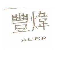 豐煒 ACER