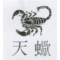天蠍及圖
