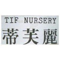 蒂芙麗 TIF NURSERY