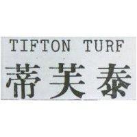 蒂芙泰 TIFTON TURF