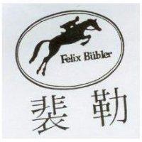 裴勒及圖 Felix Buhler