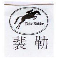 裴勒及圖 Felix Buhler