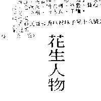 花生人物