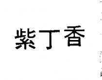紫丁香