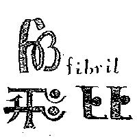 飛比及圖 fibril