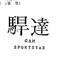 駻達 GAM SPORT STAR