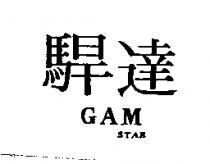 駻達 GAM STAR
