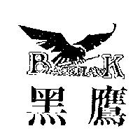 黑鷹及圖 BLACK HAWK