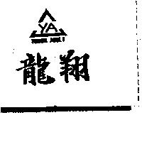 龍翔及圖 YOUTH ADULT YA