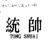 統帥 TONG SHUAI