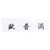 歐普滴 OPTIX in Chinese characters