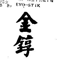金錞 EVO-STIK