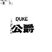 公爵 DUKE