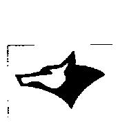 獵犬圖案