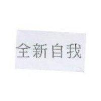 全新自我
