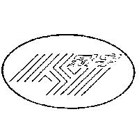 冠宇及圖