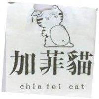 加菲貓 chia fei cat