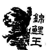 錦鯉王及圖