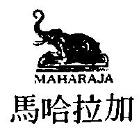 馬哈拉加及圖 MAHARAJA