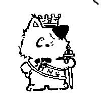 猫咪圖