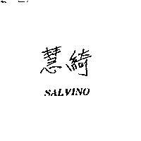 慧綺 SALVINO