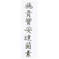 施貴寶安達菌素