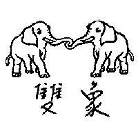 雙象及圖