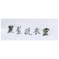 麗登洗衣靈