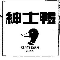 紳士鴨及圖 GENTLEMAN DUCK