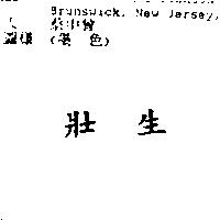 壯生