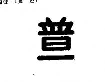 普一