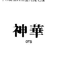 神華 DTS