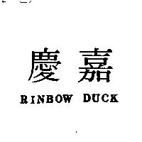 慶嘉 RINBOW DUCK