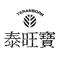 泰旺寶及圖 TERANBORN