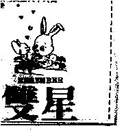 雙星及圖 REMEMBER