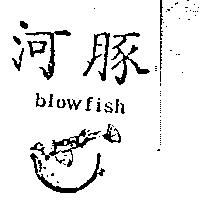 河豚及圖 blowfish