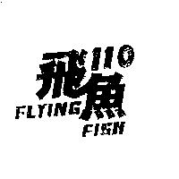 飛魚 110FLYING FISH
