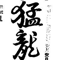 猛龍