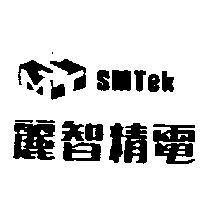 麗智精電及圖 SMTEK