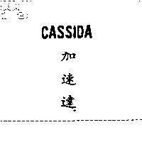 加速達 CASSIDA