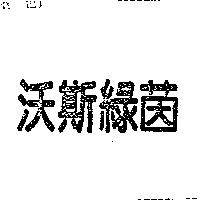 沃斯綠茵