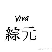 綜元 VIVA