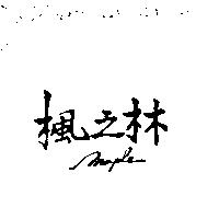 楓之林 MAPLE